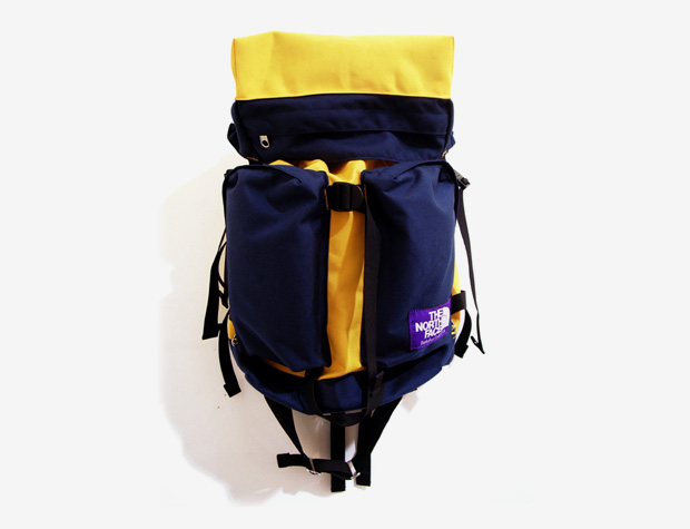 tnf purple label backpack