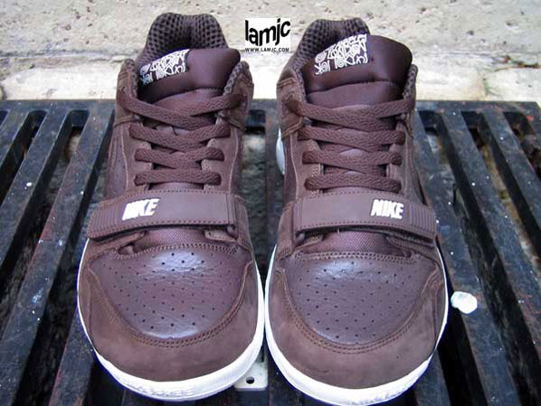 nike trainer dunk low