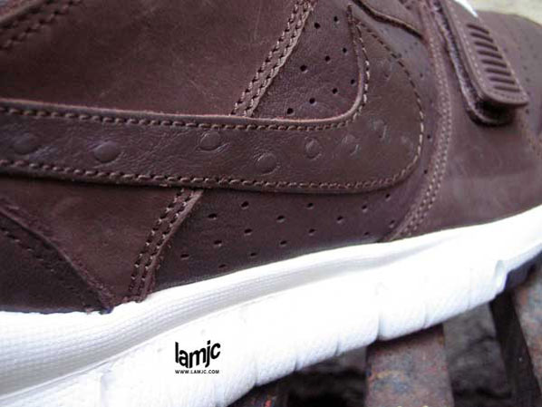 Nike X Stussy Trainer Dunk Low: A Closer Look