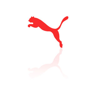 Potential Purchase of Puma by the PPR Group