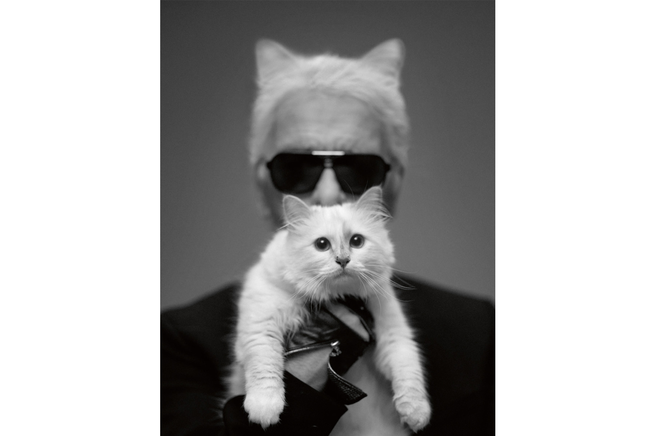 Karl Lagerfeld 价值 $2.37 亿美元遗产或将由爱猫 Choupette 继承